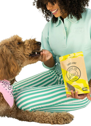 Turkey Jerky