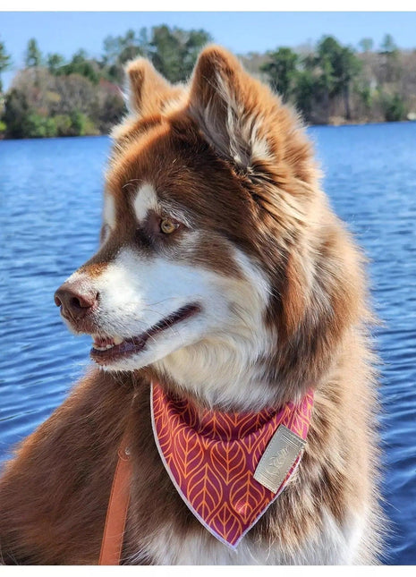 Twilight Trails Bandana
