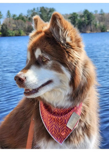 Twilight Trails Bandana & Matching Keychain