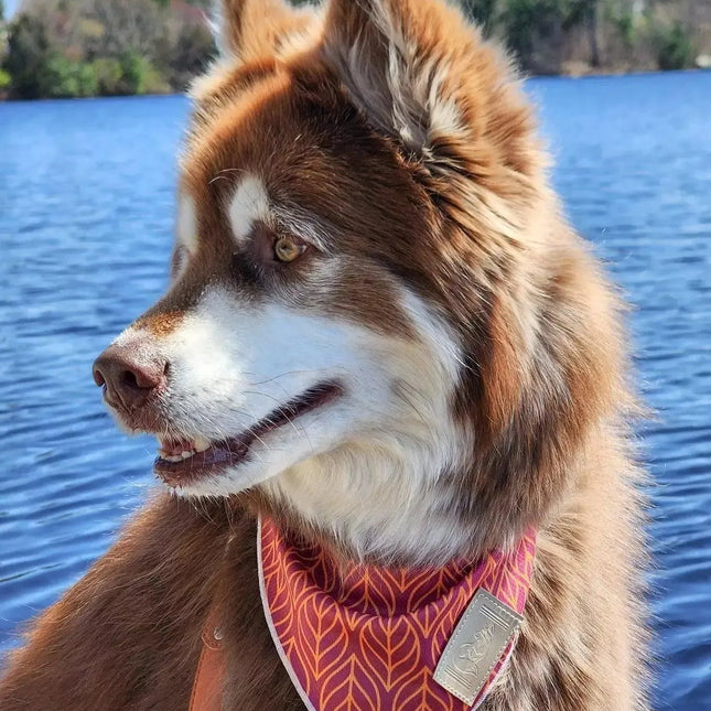 Twilight Trails Bandana & Matching Keychain