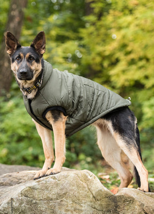 US Army Dog Parka - Dark Camo