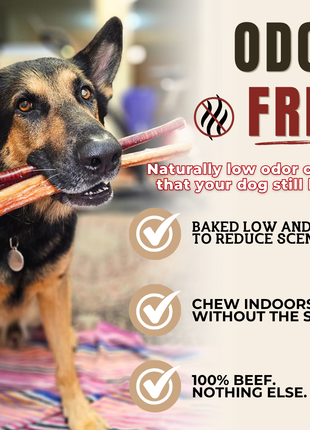 12 Inch Jumbo Bully Stick