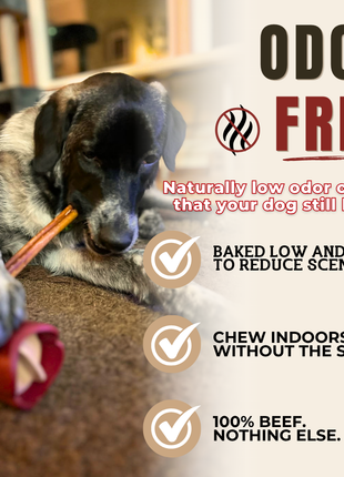 12 Inch Standard Bully Stick