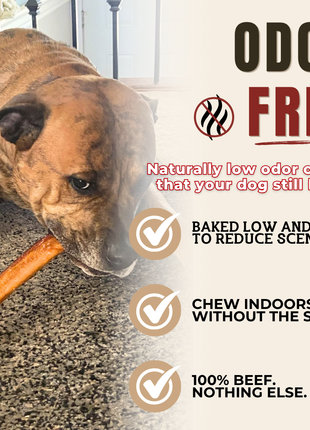 12 Inch Thick Bully Stick
