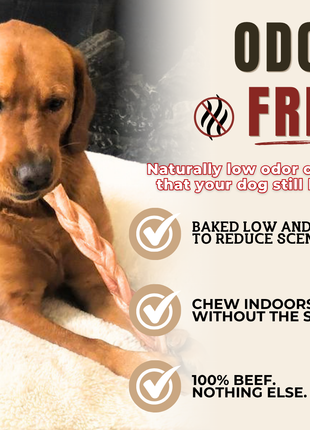 12 Inch Jumbo Braided Bully Stick