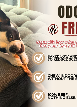 12 Inch Standard Braided Bully Stick