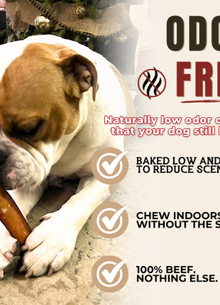 6 Inch Monster Bully Stick