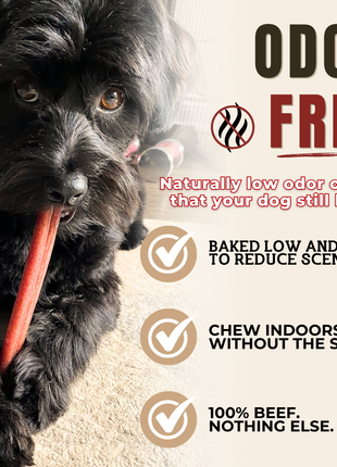 6 Inch Standard Bully Stick