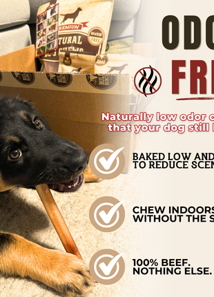 6 Inch Thick Bully Stick