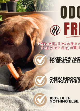 6 Inch Jumbo Bully Stick