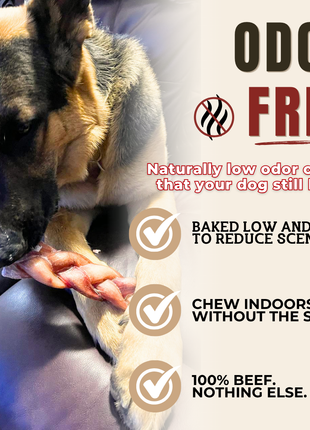 6 Inch Monster Braided Bully Stick