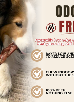 6 Inch Thick Braided Bully Stick