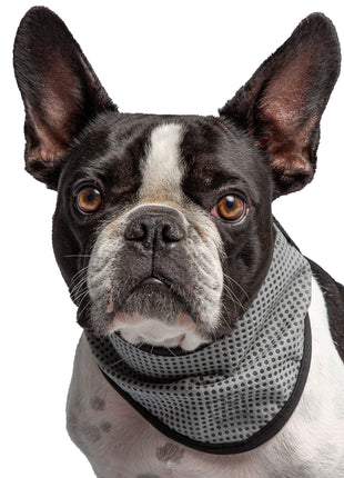 US Army Dog Cooling Bandana - Grey