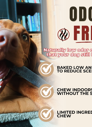 Blueberry Himalayan Yak Chew (MEDIUM)