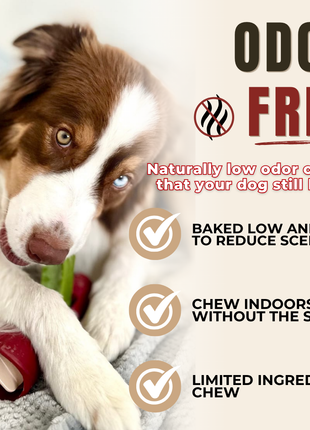 Himalayan Yak Chew Flavor Pack