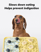 Slow Feeder Lick Mat