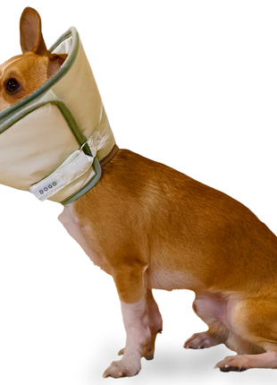 Get Better Recovery E-Collar