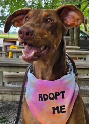 Adopt Me Tie Dye Dog Bandana Best Seller