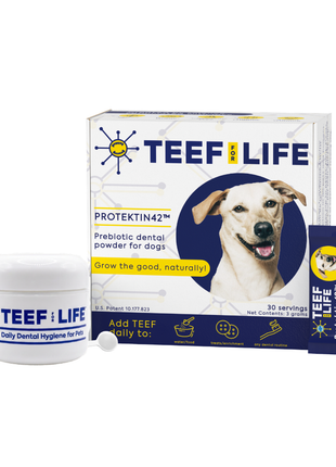 Dental Kits: Protektin42™ - Prebiotic Dental Powder for dogs