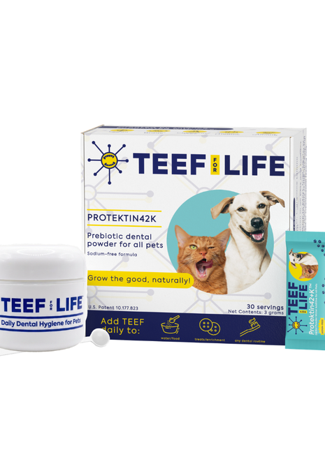Dental Kits: Protektin42K - Prebiotic Dental Powder for All Pets (Sodium-free)