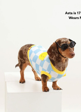 Dog Cotton Smiley Tee