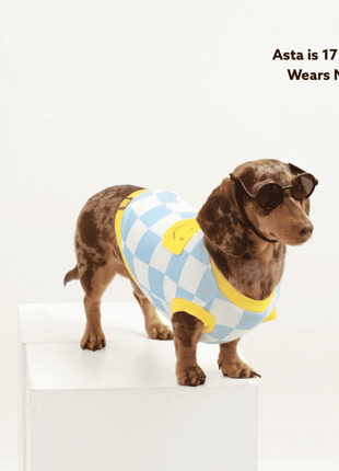 Dog Cotton Smiley Tee