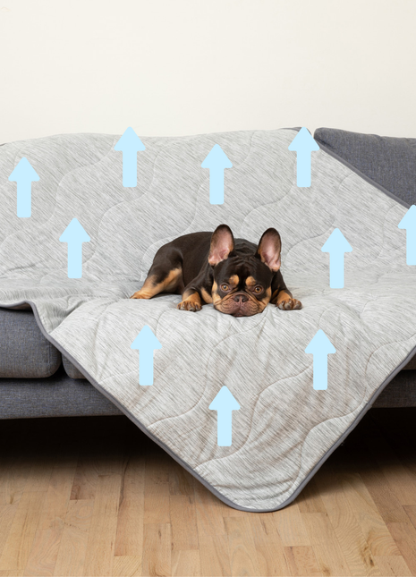 PupChill™ Cooling Waterproof Blanket - Arctic Grey