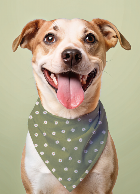 Daisy Dog Bandana
