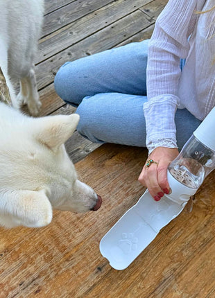 Travel Dog Water Bottle with Treat Holder – Leakproof & BPA-Free 350mL