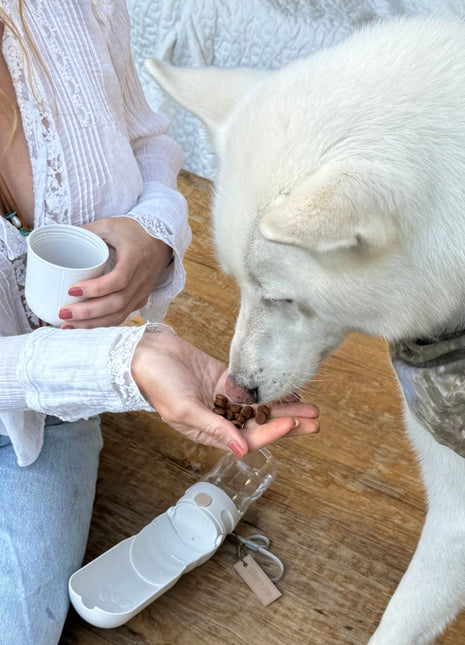 Travel Dog Water Bottle with Treat Holder – Leakproof & BPA-Free 350mL