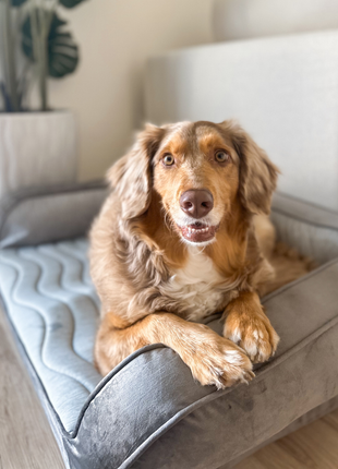 PupChill™ Cooling Bolster Dog Bed