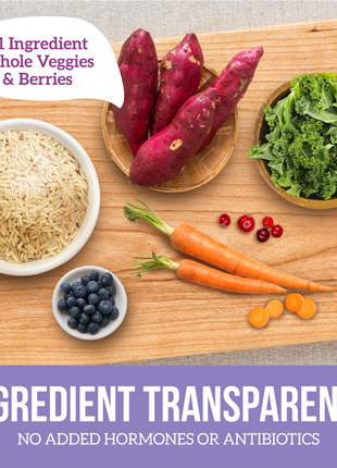 Vegetarian Entree