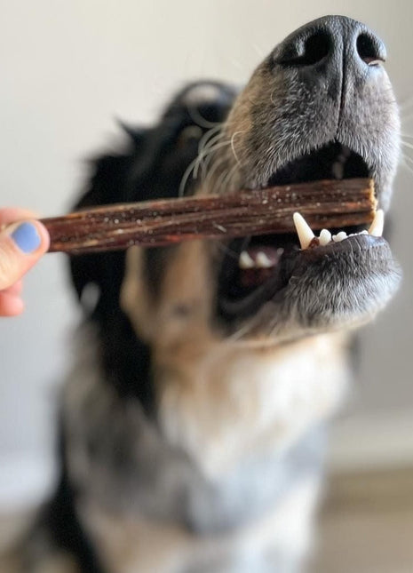 6 Inch Beef Jerky Stick