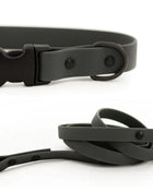 Waterproof Collar and Leash Set