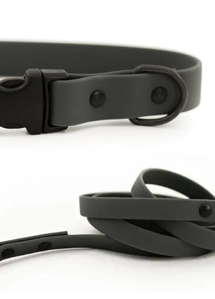 Waterproof Collar and Leash Set