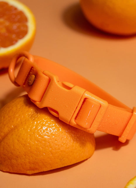 PVC Dog Collar - All Weather Waterproof Durable & Odor-Resistant