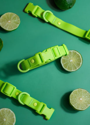 PVC Handsfree Dog Leash - All Weather Waterproof Durable & Odor-Resistant