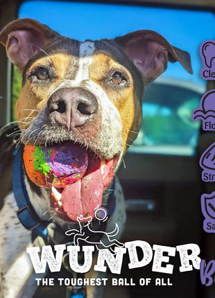 WUNDERBALL - Best Fetch Toy