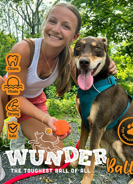 WUNDERBALL - Best Fetch Toy