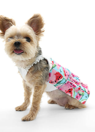 Watermelon Sundress