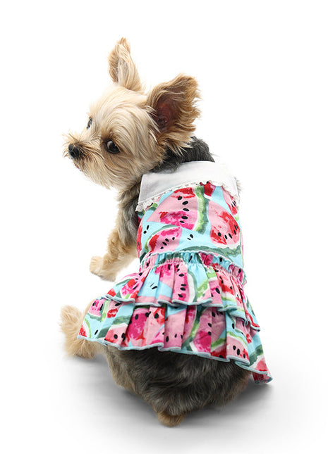 Watermelon Sundress