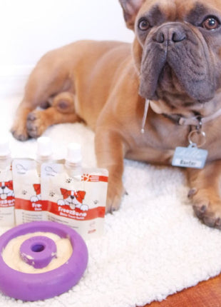 Freez Doughnut - Super Durable Treat Toy