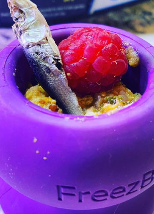 Freezball - Durable Fillable Dog Chew Bone