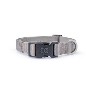 City Collar - Steel - Pup List