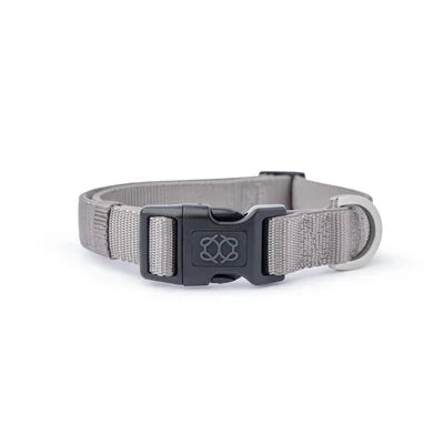 City Collar - Steel - Pup List