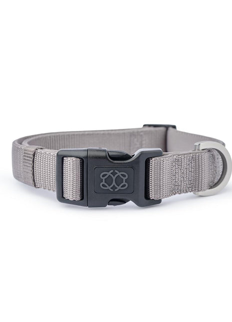City Collar - Steel - Pup List