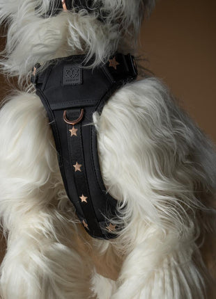 The NoMad Adjustable Luxe Harness - Rockstar