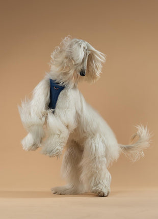 The NoMad Adjustable Luxe Harness - Denim