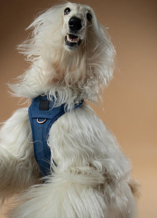 The NoMad Adjustable Luxe Harness - Denim