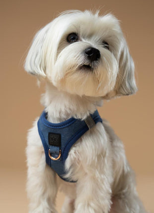 SoHo Dog Harness - Denim - Pup List